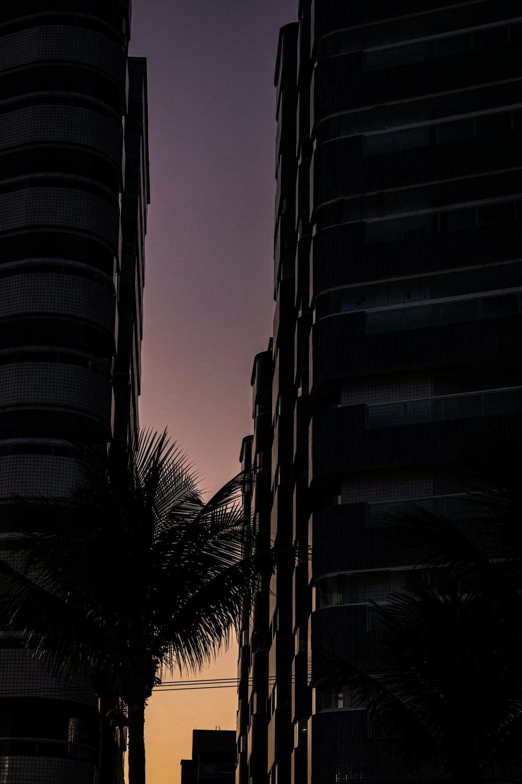 Prédios residenciais contra o céu do entardecer com palmeira em primeiro plano